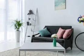 客厅见树，家业稳固！适合客厅的8种树，随便选一种，幸福感倍增图片