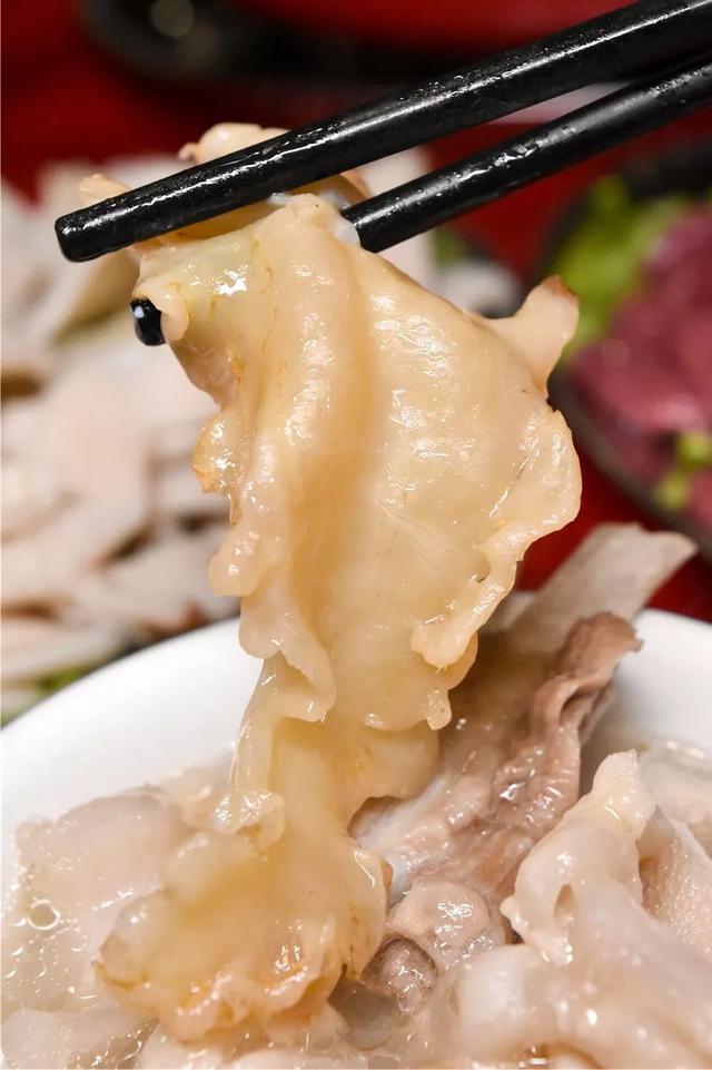 花胶可以煲羊肉吗 2026年花胶可以炖羊肉吗