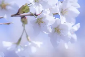 最容易让女人有婚外情的几种习惯图片