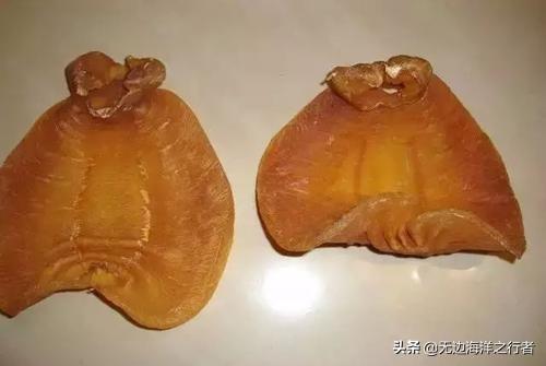 鳘鱼胶多少钱一斤干的 2026年鮸鱼胶多少钱一斤