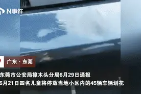 4个孩子划伤45辆小车，赔偿金额来了图片