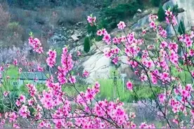 八年级上册古诗文大全图片