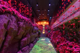 点亮工程领域高光时刻 Vivitek(丽讯)带你领略视觉风采图片