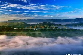 一起赏竹吗？图片