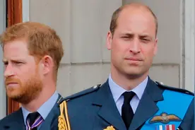 BBC一部纪录片惹怒皇室三巨头！王子间暗抖黑料，全曝了图片