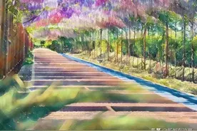 新都赏花、亲子游、樱桃采摘~小新给你安排妥妥的~图片