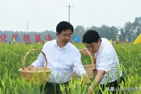 山西省委农办主任、省农业农村厅厅长鞠振赴大同出席黄花产业发展暨产业扶贫推进大会图片