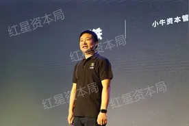 小牛资本非法集资上百亿！湖南“钢铁侠”炒房上千套，水平太菜被群嘲图片