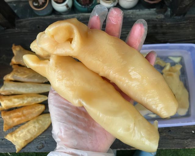 大个花胶怎么切开 2026年大个花胶怎么切开图解