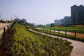 西安市民踏青游玩、日常锻炼的新去处！灞桥区25.17公里灞河段生态廊道即将全面开通图片