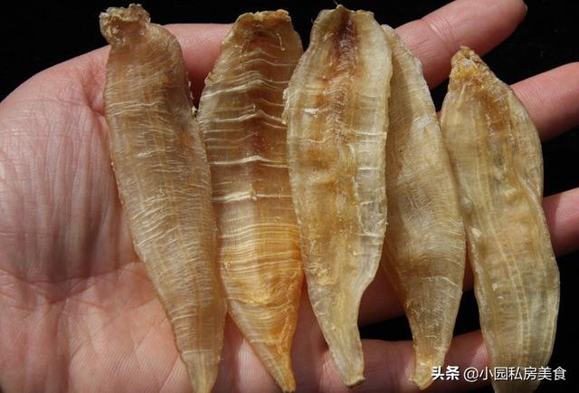 花胶公母图 2026年花胶公母的功效与作用