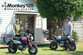 本田发布新款Monkey125猴子图片