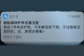 支付宝蚂蚁森林四周年：1 号林发来消息，梭梭「被迫睡着」图片