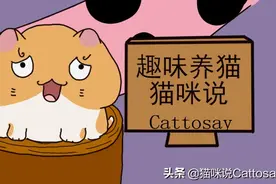 铲屎官不要随意让大猫和幼猫分别图片