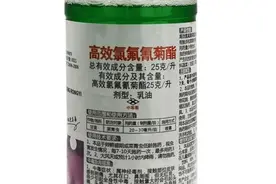 高效氯氰菊酯到底能治什么虫？如何使用高效氯氰菊酯效果更好？图片