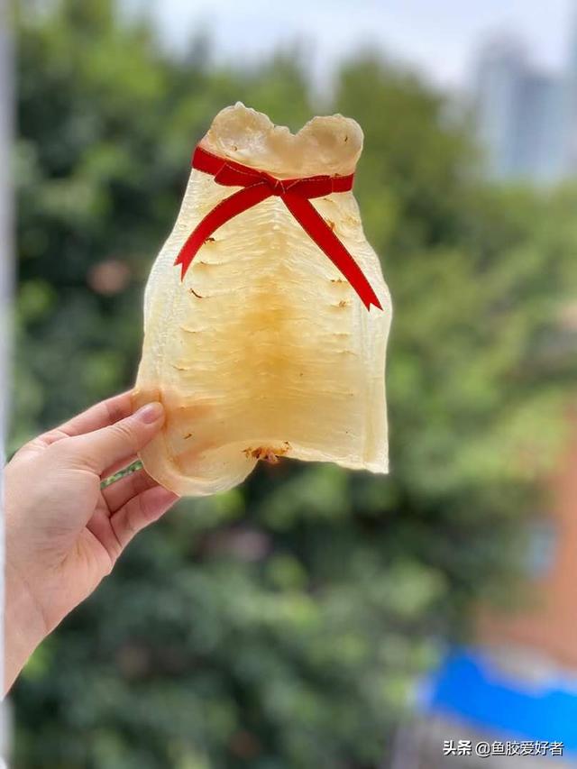 一周吃一次燕窝一次花胶 2026年一天吃燕窝一天吃花胶