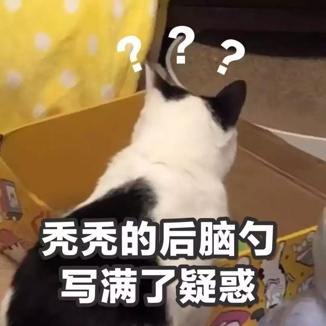 520比521更适合表白，居然是因为南方人的口音…