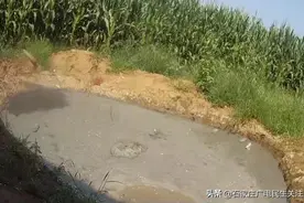 新华分局东焦派出所查处一起环境污染案图片