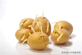 民以食为天，食品科学与工程专业，为何却被许多人不看好？图片