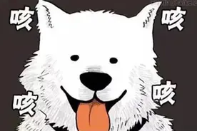 爆笑漫画：小男孩看到一只可爱的小狗，想逗它没想到被狗子侮辱了图片