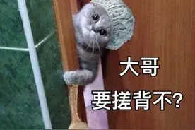 各国搓澡迷惑行为大赏图片