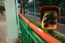 香港一双胞胎兄弟狂毁港铁，损失超20万元，仅获刑7周图片