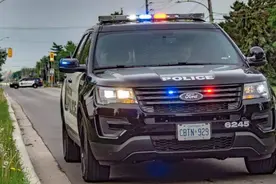 俄罗斯也不禁枪，为何犯罪率这么低？图片