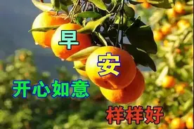中老年表情包：诋毁了，不说，是一种涵养图片