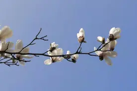 两份offer，一个轻松工资低，一个累但工资高一些，我该选哪个？图片