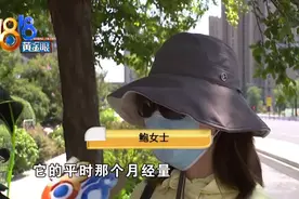 “泰迪”手术后死亡，怀疑诊所超范围经营图片