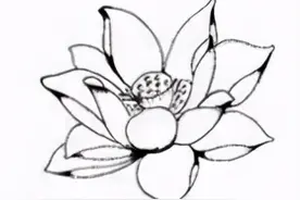 一键了解：十月佛门19件大事图片