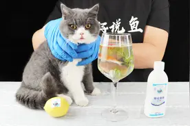 养鱼先养水，养水先培菌，但是并非所有的硝化细菌都值得推荐视频封面