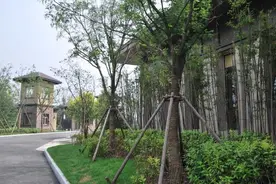 天津被忽略的一处公园，是天津市唯一的湿地型森林公园图片