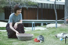 《白色月光》：杨雁为何要破坏张一的婚姻？原因找到了图片