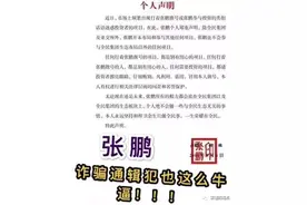 中东矿业崩盘了，两大潜逃犯张鹏和孙鹏在国外拜上了把子图片