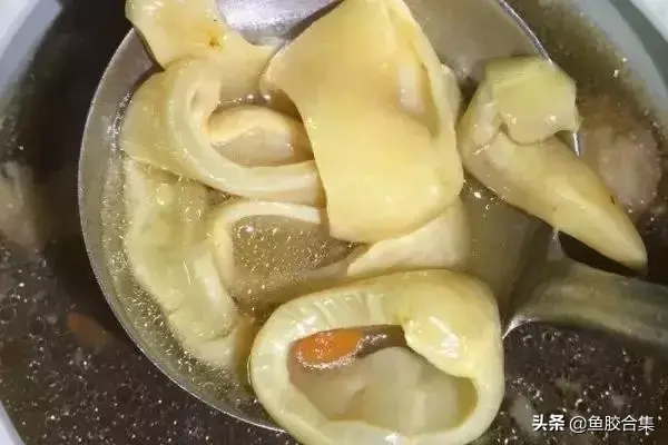 鱼胶如何吃法 2026年鱼胶吃法做法大全
