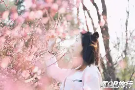 这本该是长沙春天最美的模样！待山河无恙，我们向着春天出发……图片
