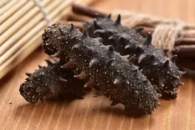 如何鉴别海参的好坏？图片