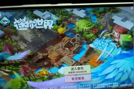 1小时被骗光5.5万元，长沙男子11岁女儿陷“赠皮肤”骗局图片