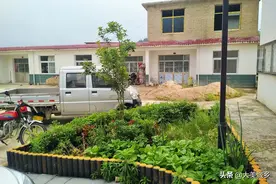 山村村民用石头建花池，却在里面种菜，看看咋回事图片