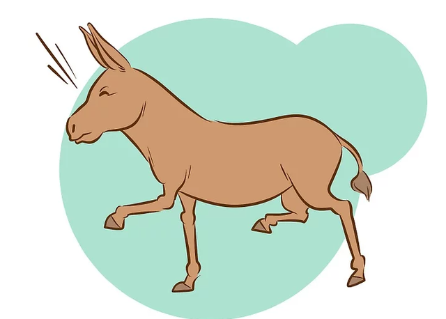 牵着不走，打着倒退，如何科学地驯服一头犟驴？