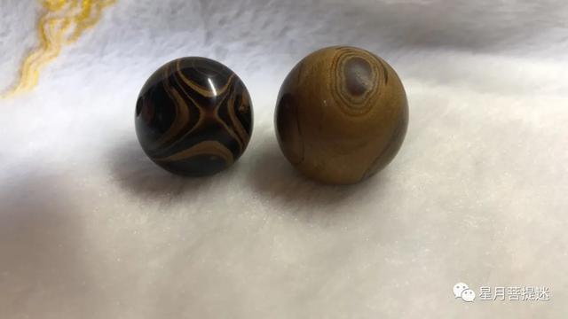 作假“金丝柳”的特征详谈