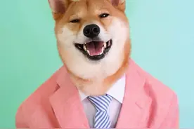 笑出腹肌，牙口差的狗丑到无法想象…图片