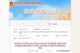 第二批全国乡村治理示范村镇名单公布 陕西这些地方入选图片