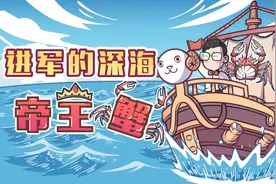 海里多到烂大街的帝王蟹，凭什么这么贵？图片