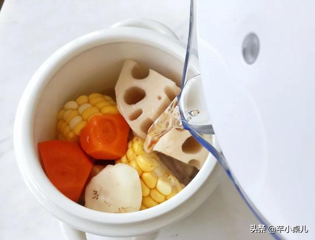 养生壶怎么做花胶 2026年养生壶怎么做花胶视频