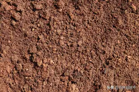 土质的分类图片
