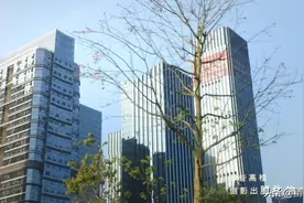 今天被这首东莞话新歌‘洗脑’了！图片