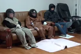 无毛猫对主人无差别攻击，导致全家人只能头戴头盔身着防护服图片