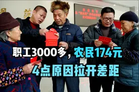 职工养老金3000多元，农民人均养老金174元，为何差距这么大？图片